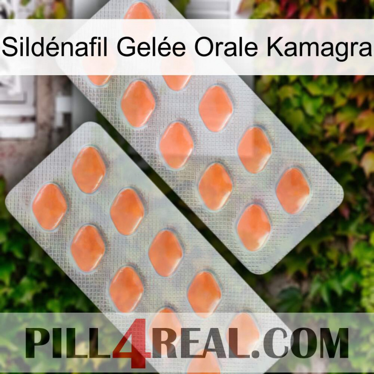 Sildénafil Gelée Orale Kamagra 27